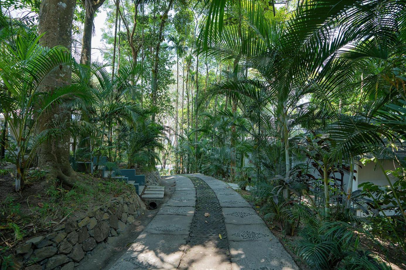 The Hive, Wayanad Hotell Eksteriør bilde