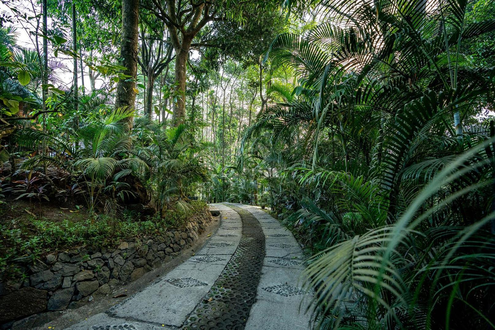 The Hive, Wayanad Hotell Eksteriør bilde