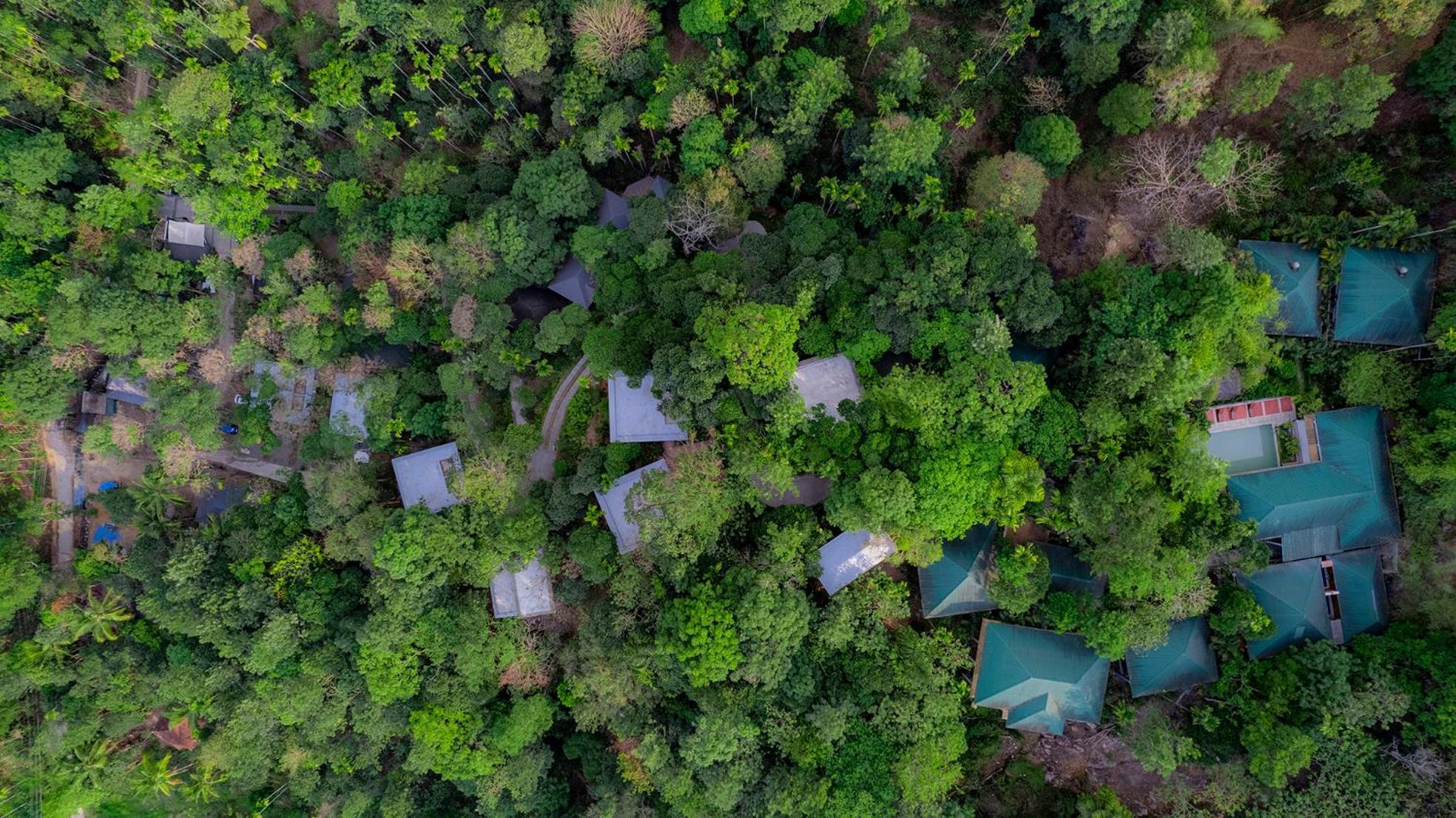 The Hive, Wayanad Hotell Eksteriør bilde