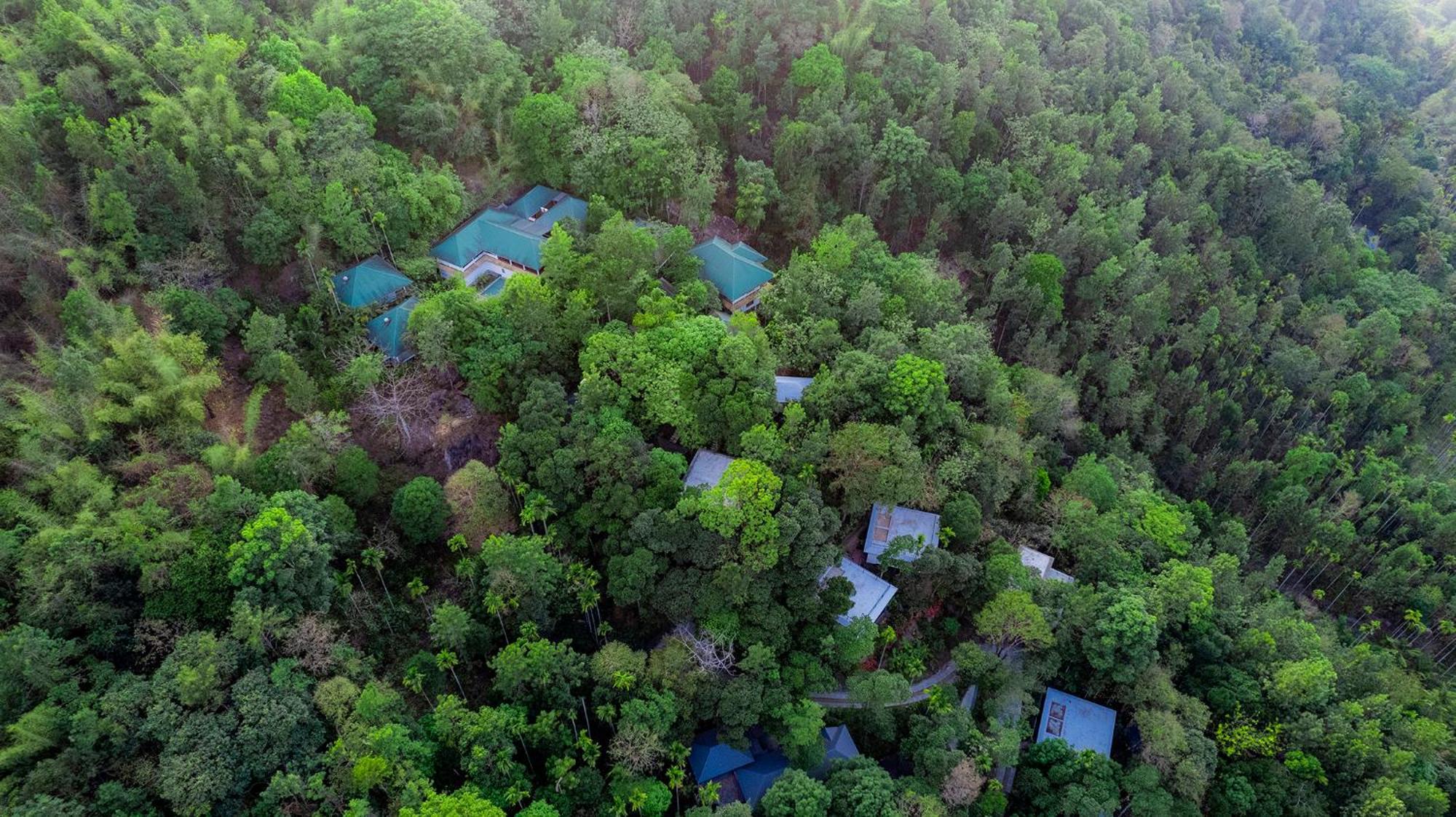 The Hive, Wayanad Hotell Eksteriør bilde