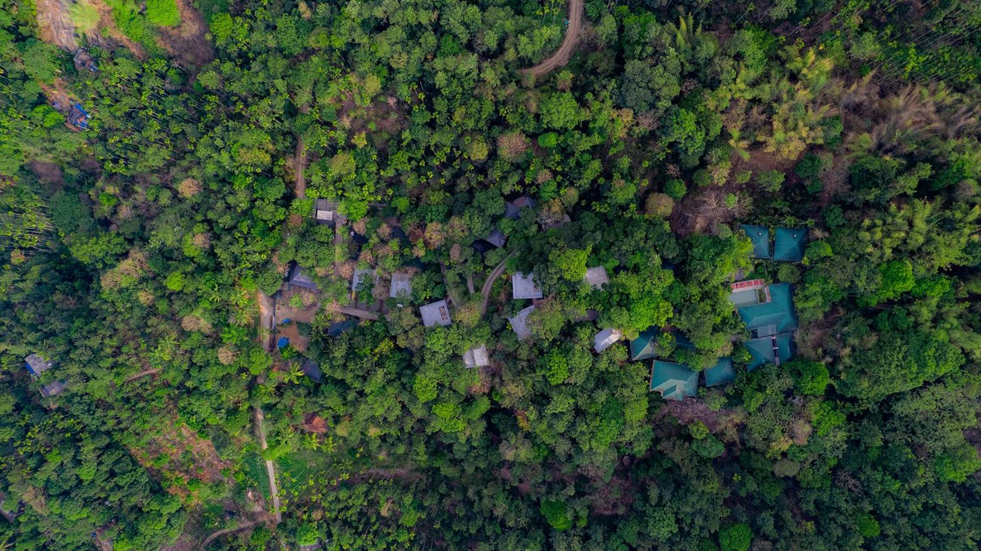 The Hive, Wayanad Hotell Eksteriør bilde
