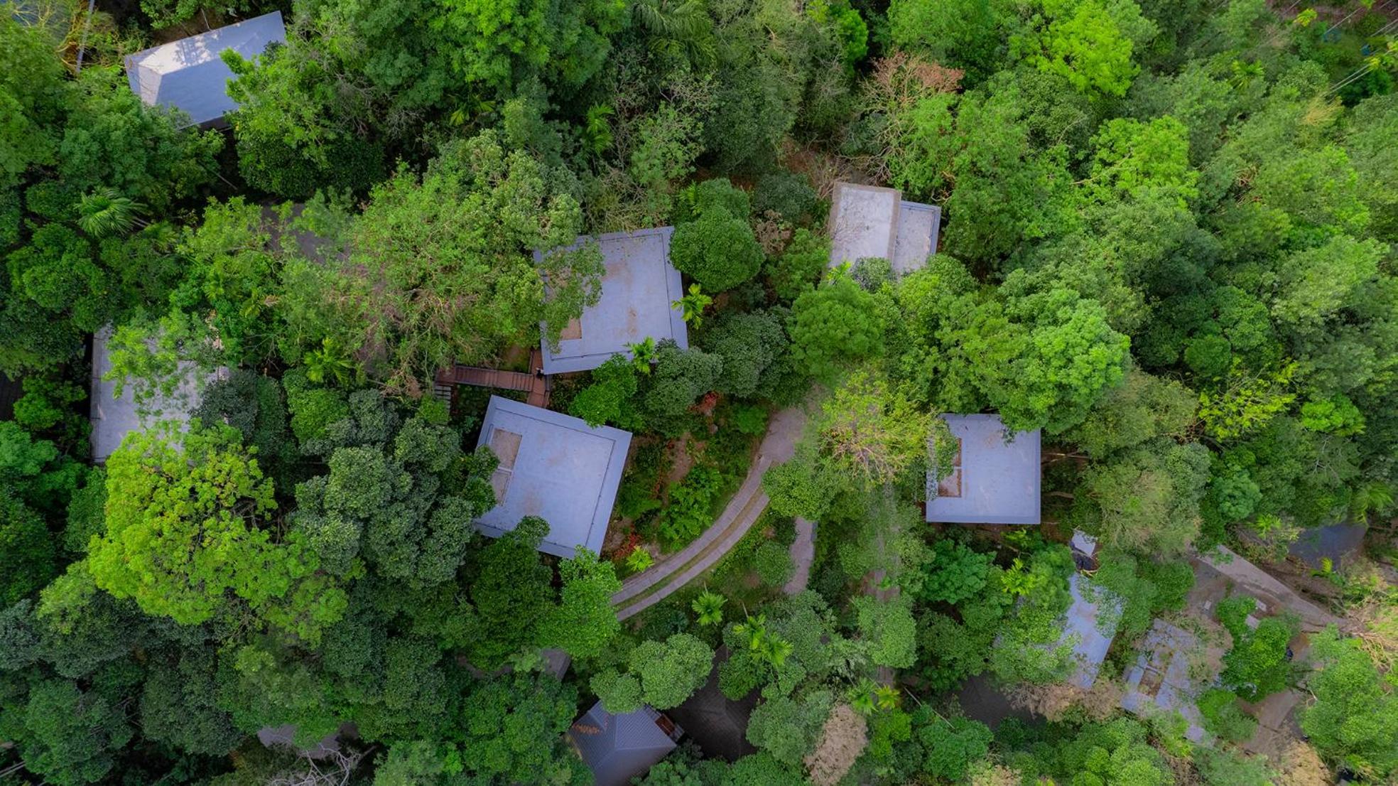 The Hive, Wayanad Hotell Eksteriør bilde