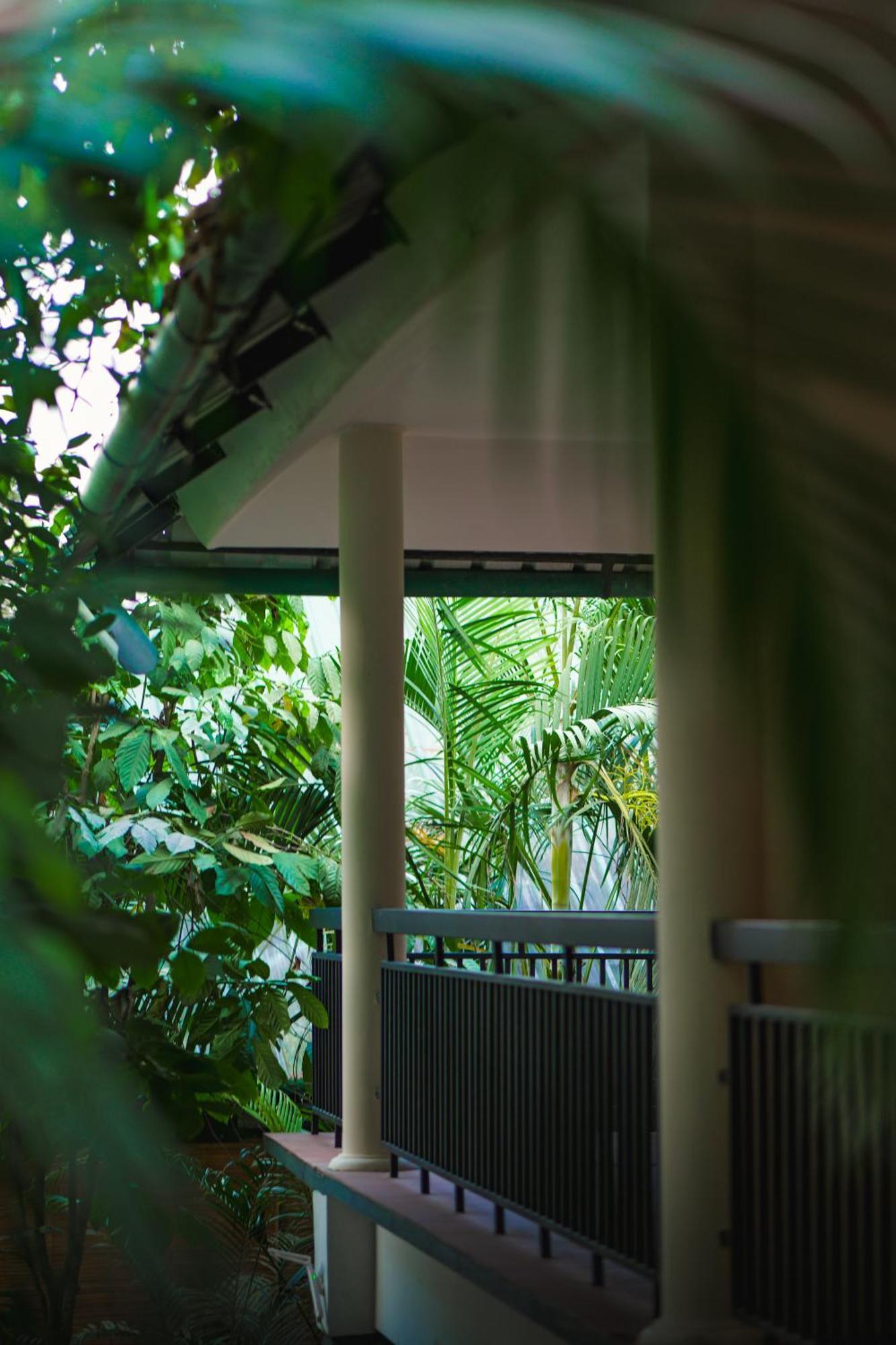 The Hive, Wayanad Hotell Eksteriør bilde