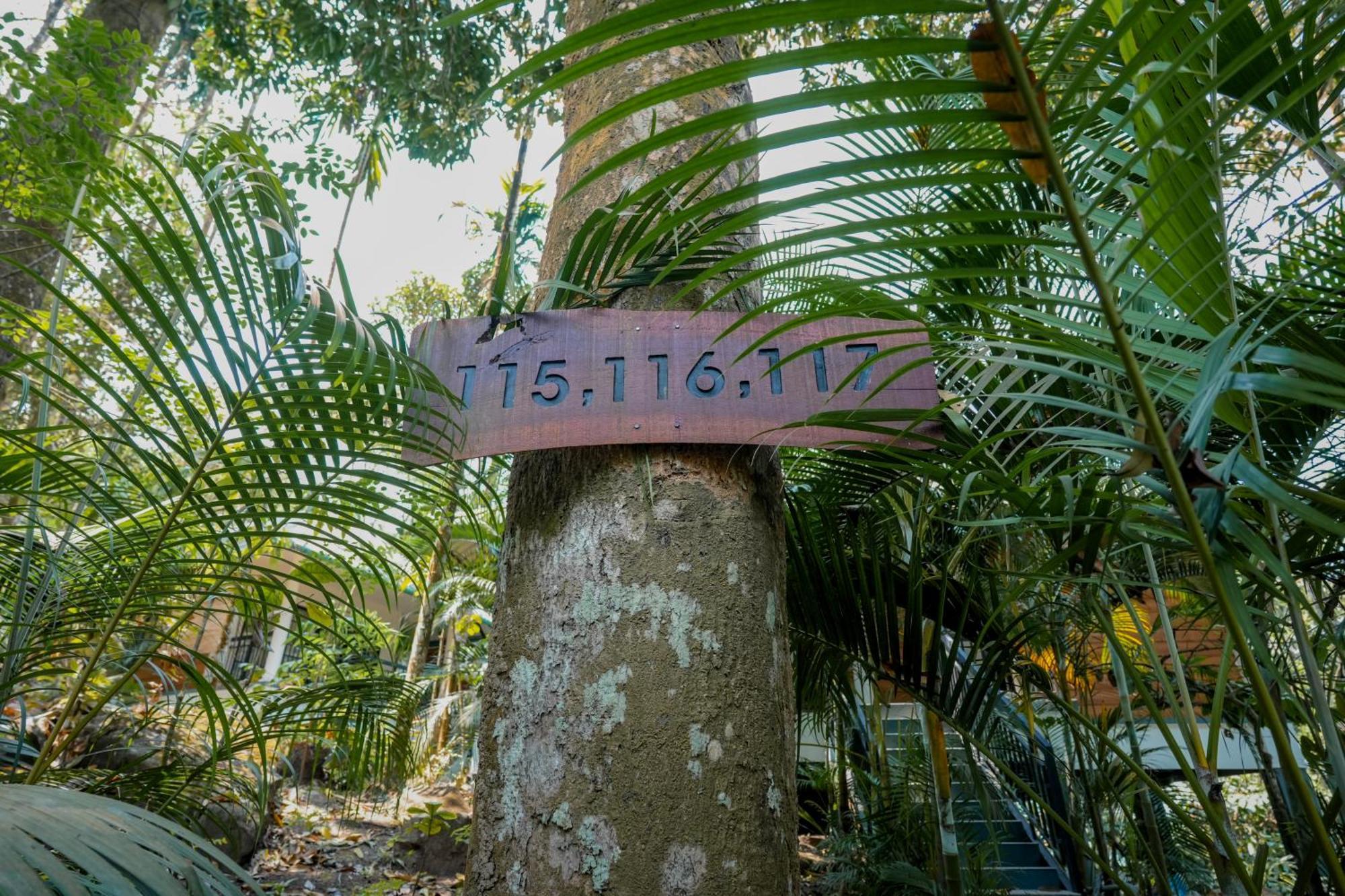 The Hive, Wayanad Hotell Eksteriør bilde