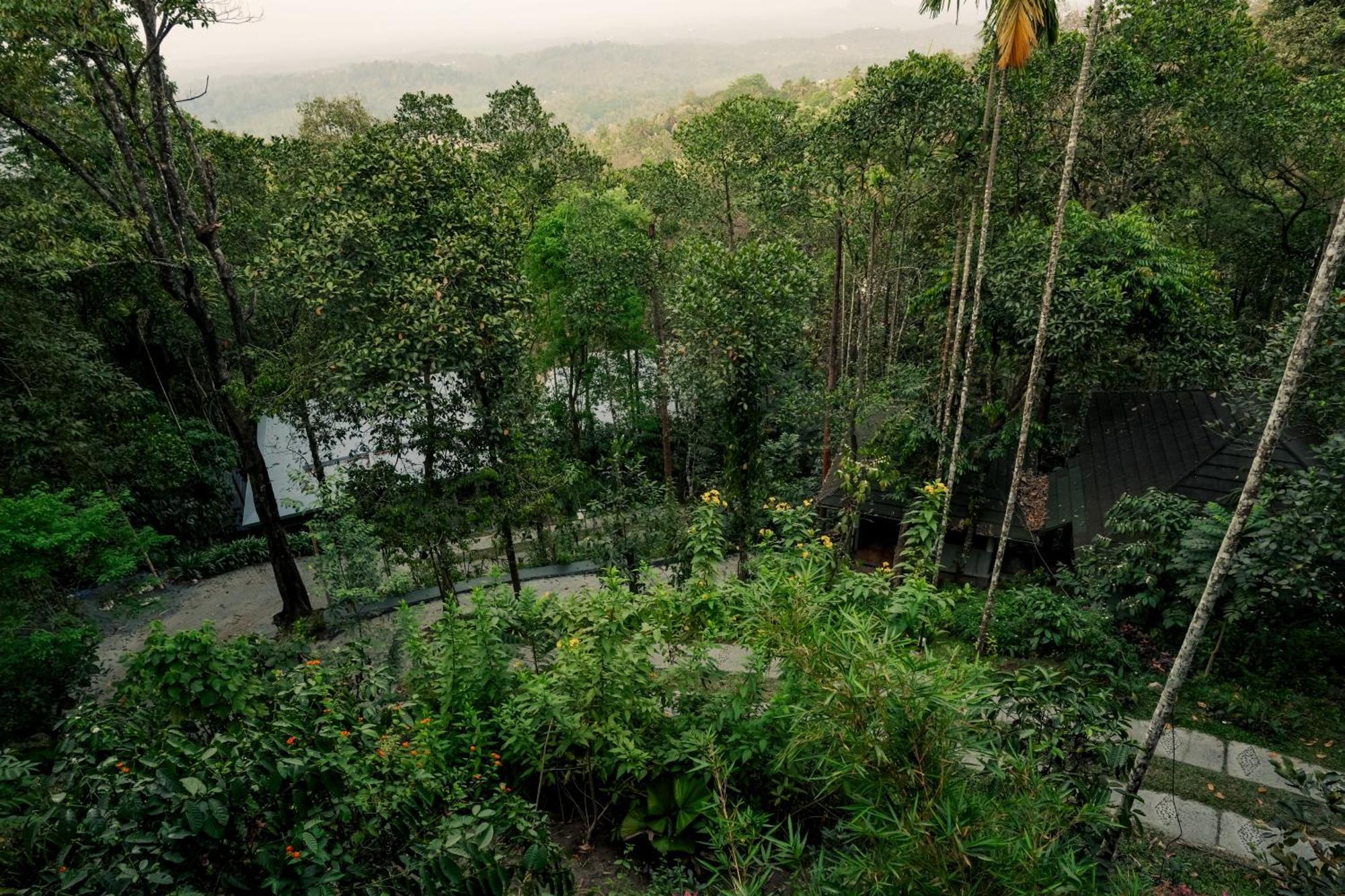 The Hive, Wayanad Hotell Eksteriør bilde