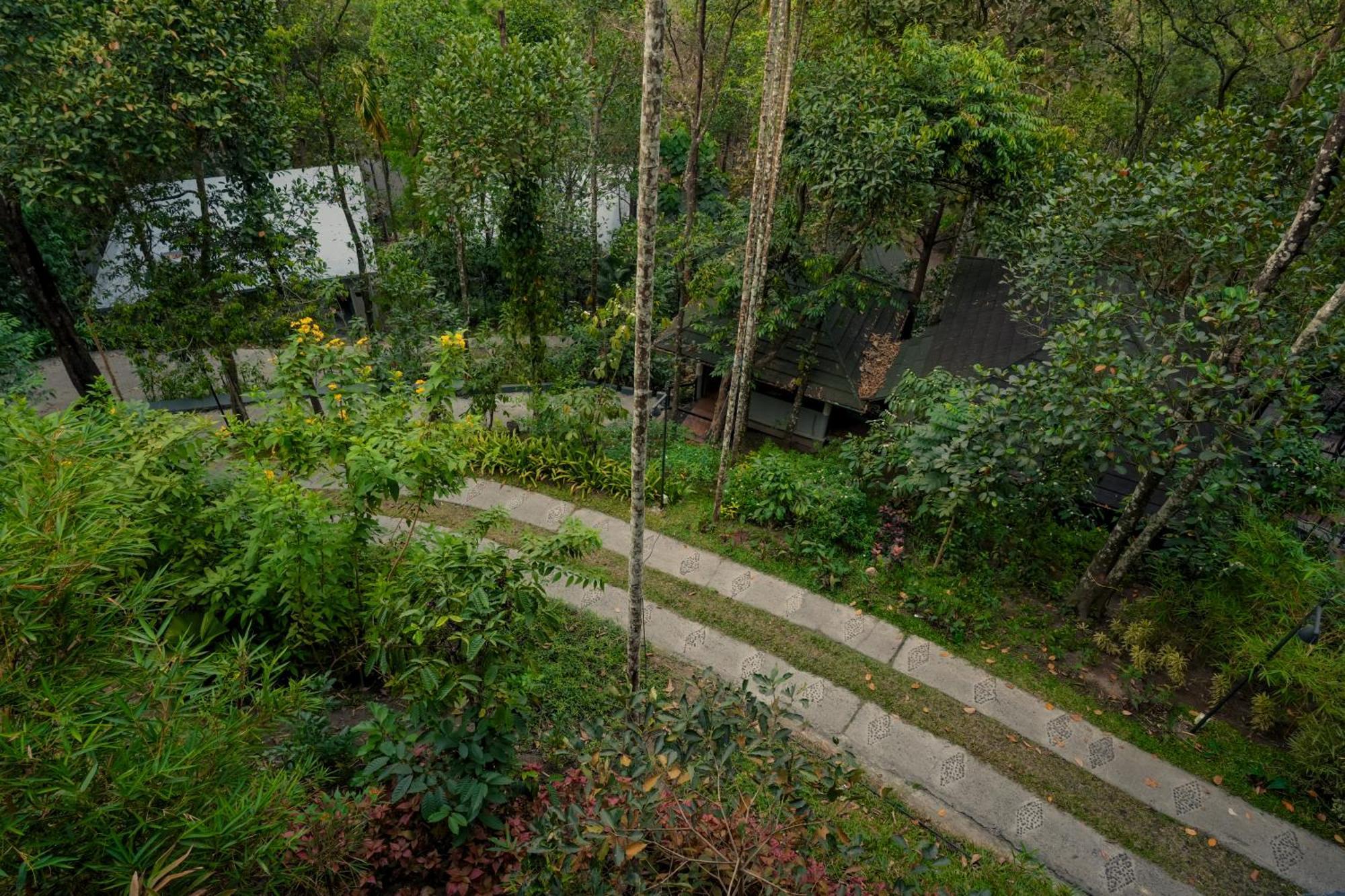 The Hive, Wayanad Hotell Eksteriør bilde