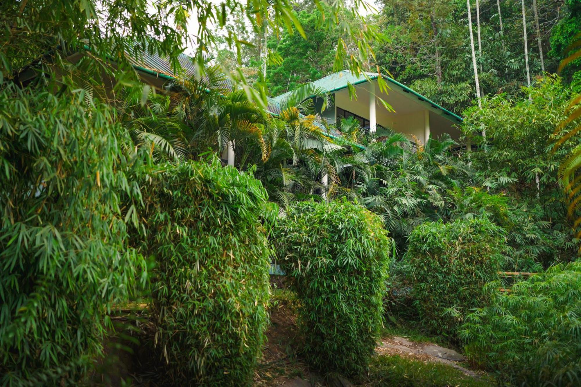 The Hive, Wayanad Hotell Eksteriør bilde